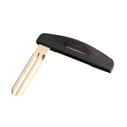 For Koleos Remote Key Blade - Ren