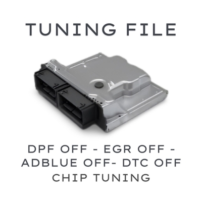 Tuning File Service (DPF OFF, EGR OFF, ADBLUE OFF, DTC OFF) - AKS