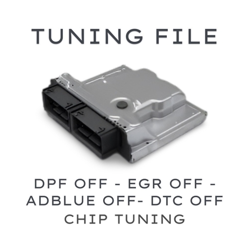 Tuning File Service (DPF OFF, EGR OFF, ADBLUE OFF, DTC OFF) - 1
